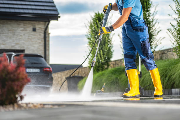 Best Fence Cleaning  in Elk Point, SD